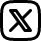 x icon